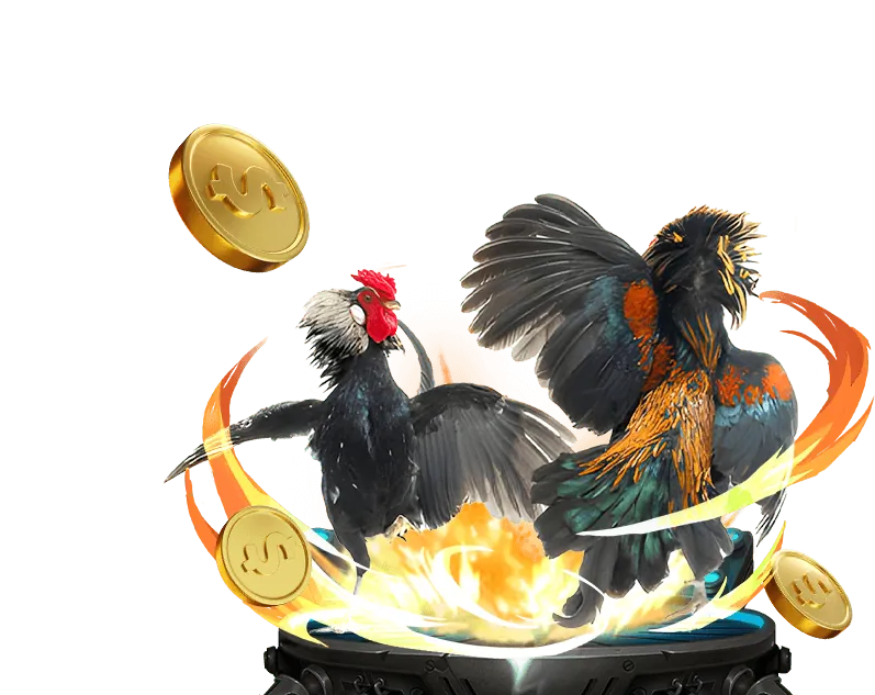 Ưu điểm của dg5566